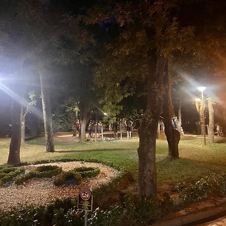 Darts Τίρανα